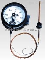 WTZ/WTQ系列壓力式溫度計(jì)