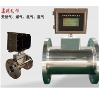 LWQ系列氣體渦輪流量計(jì)